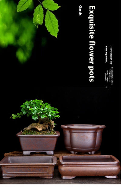Maceta Orquídea Yixing Cerámica Púrpura - Diseño Minimalista para el Hogar - Image 12