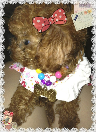 Dije Personalizado de Mascota en Latón - Image 10