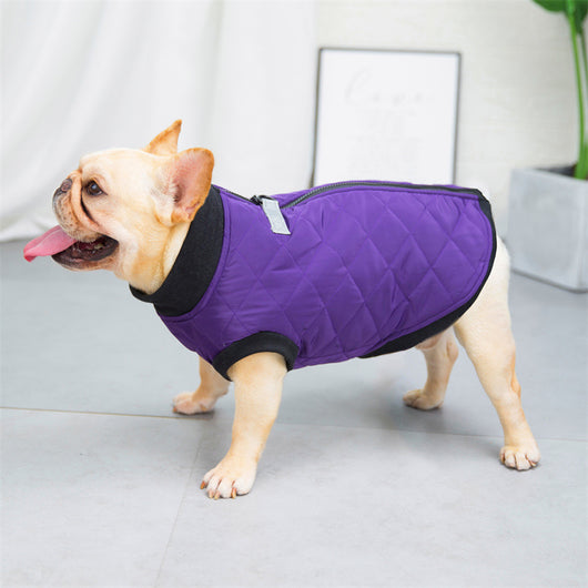 Chaleco Bucket de Algodón para Perros - Estilo Francés - Image 16