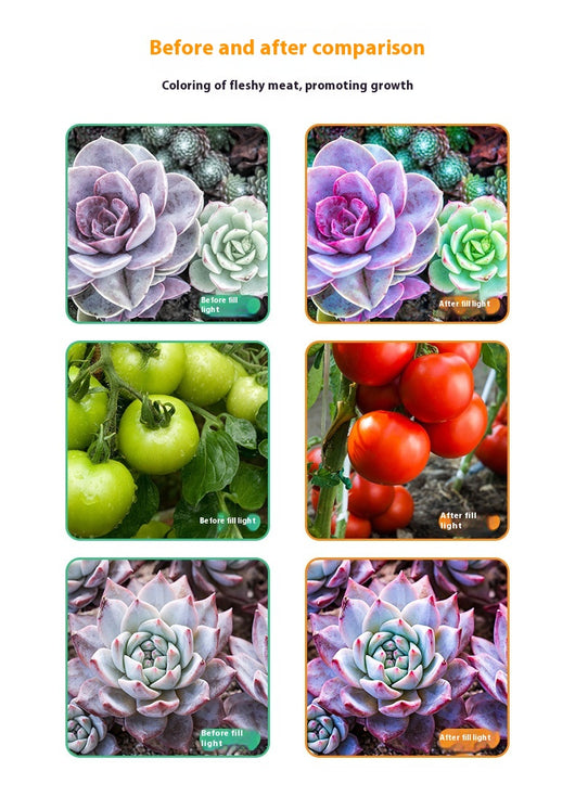 Barra LED de Espectro Completo para Plantas Suculentas - Image 21