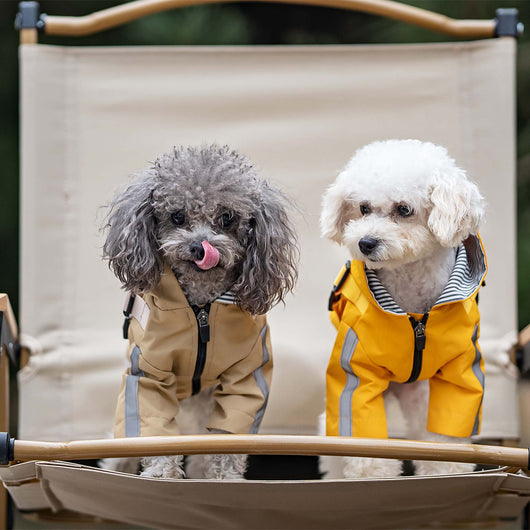 Impermeable para Perros Resistente Todas las Estaciones - Image 3