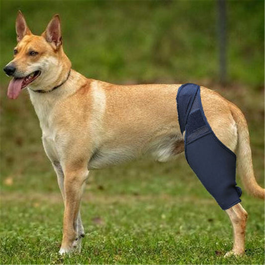 Protector de Fractura para Patas Delanteras y Traseras en Perros