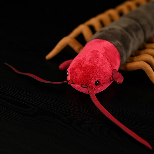 Peluches Suaves Para Todos - Image 6
