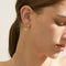 Aretes de Plata S925 Chapada Amor y Paz con Pájaros