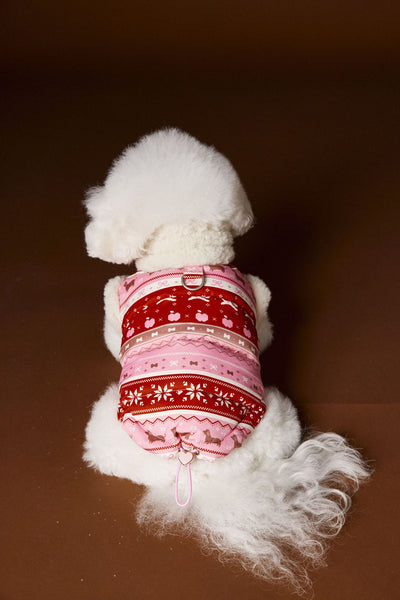 Chaleco Fair Isle para Mascotas Schnauzer Bichon Teddy - Image 10