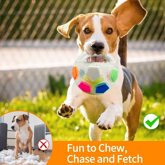Juguetes para Perros Forma de Pelota de Tenis con Sonido - Alivio Dental y Entrenamiento - Image 4