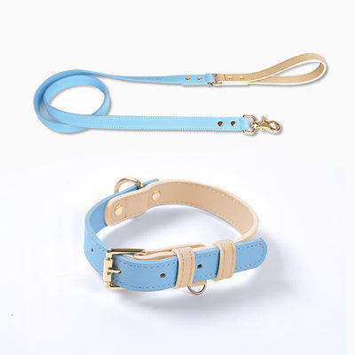 Juego de Collar y Correa para Perro en Cuero Premium - Image 35