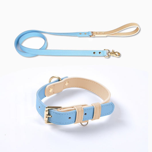 Juego de Collar y Correa para Perro en Cuero Premium - Image 35