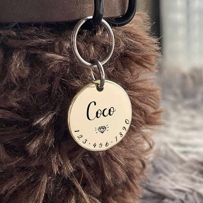 Placa de Identificación Antiextravío para Mascotas - Image 15