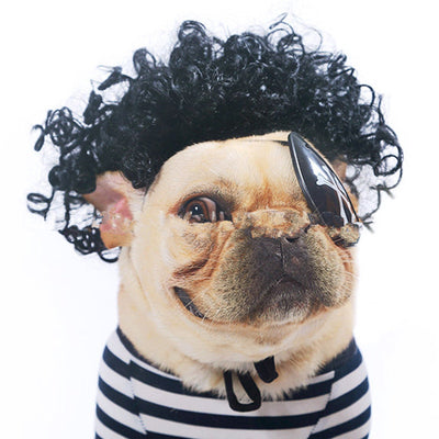 Peluca Afro para Mascotas con Flequillo y Coletas - Image 7
