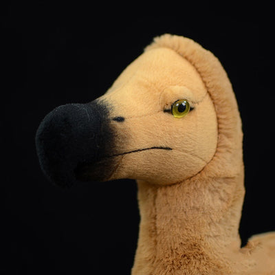 Peluche Educativo Dodo - Colección Biología Prehistórica - Image 6
