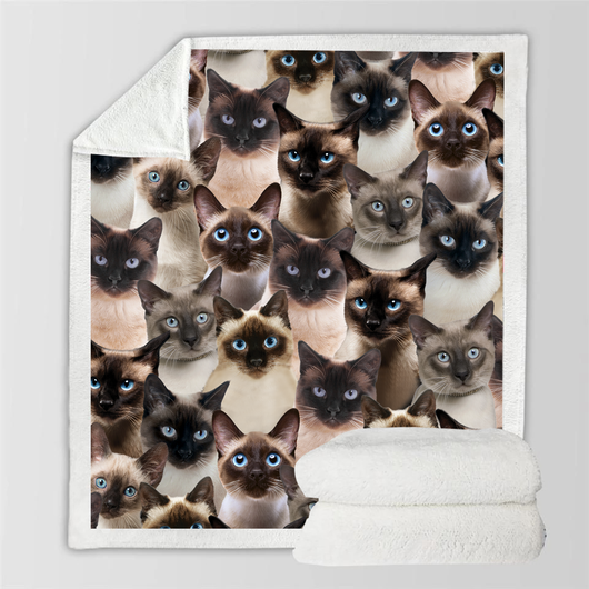 Manta Franela Estampada para Perros - Image 88