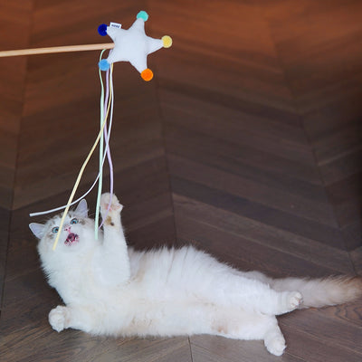 Juguete para Gatos Resistente Diseño Cielo Estrellado - Palito Dental