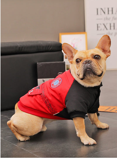 Abrigo Acolchado de Invierno para Perros Pequeños - Image 10