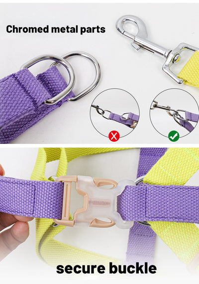 Arnés Multicolor para Perros Anti-Escape con Correa Incluida - Image 13