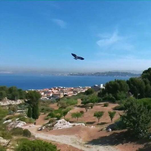 Dron Pájaro Biónico Teledirigido - Juguete Volador Inteligente - Image 2