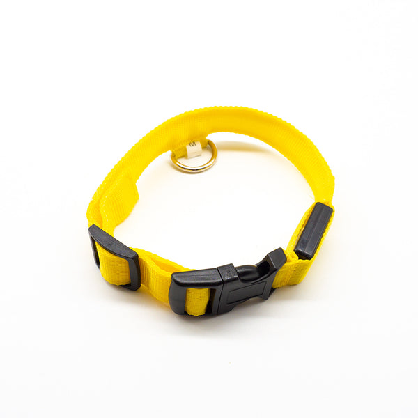 Collar LED Recargable para Mascotas
