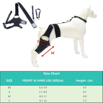 Refuerzo de Rodilla para Perros - Soporte para Patas Traseras - Image 14