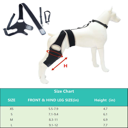 Refuerzo de Rodilla para Perros - Soporte para Patas Traseras - Image 14