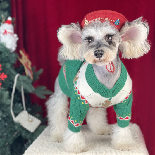 Suéter Navideño para Perros en Lana Premium - Image 12