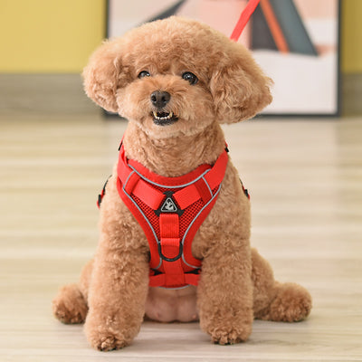 Arnés de Cuerda para Perros Estilo Chaleco - Image 14