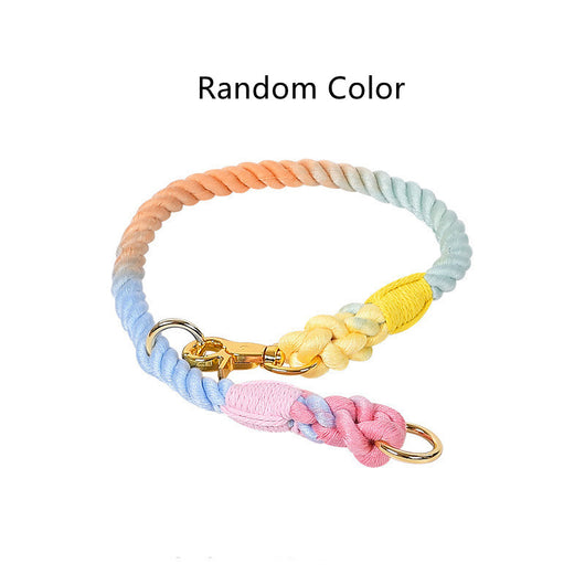 Collar Tipo P Ajustable para Perros Pequeños y Medianos - Image 14
