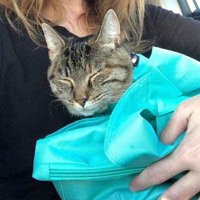Bolsa Transportadora de Gatos Plegable - Diseño Suave para Corte de Uñas - Image 18