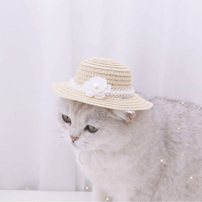 Gorro Ajustable con Lazo para Mascotas - Perros y Gatos Verano Primavera