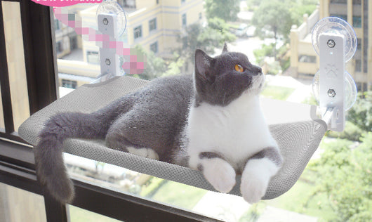 Hamaca de Ventana con Ventosas para Gatos - Cama Colgante de Vidrio - Image 11