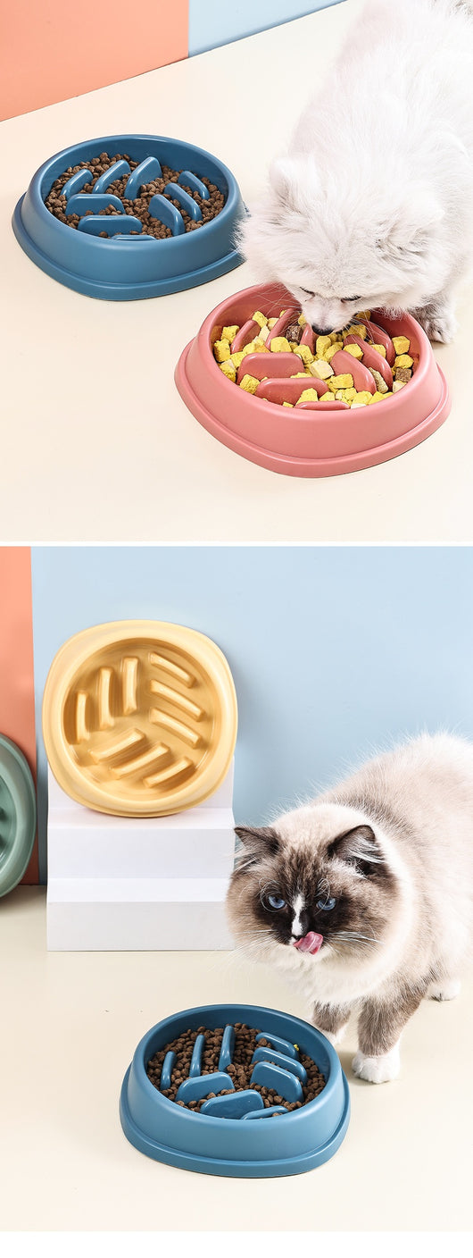 Comedero Lento Antiahogo para Perros y Gatos - Gran Capacidad - Image 17