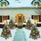 Árbol de Navidad Solar LED para Jardín y Patio
