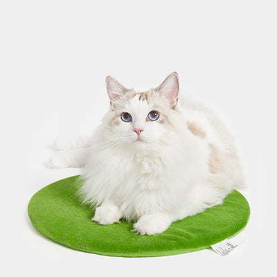 Nido de Felpa para Gatos Cactus Pet Plus - Image 3