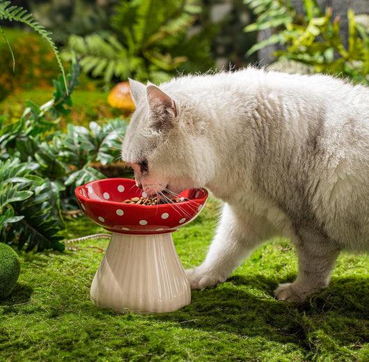 Comedero Elevado para Gatos con Diseño de Lunares y Cerámica Segura - Image 5
