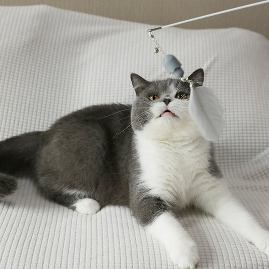 Juguete Interactivo para Gatos con Varilla de Plumas e Infrarrojo
