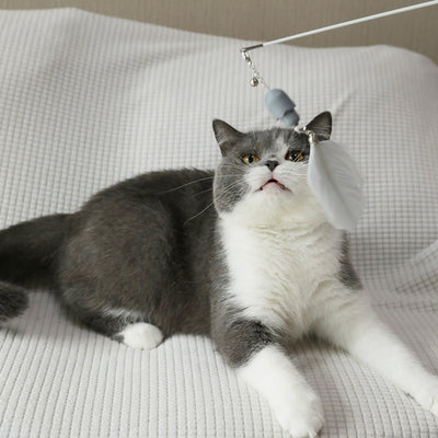 Juguete Interactivo para Gatos con Varilla de Plumas e Infrarrojo