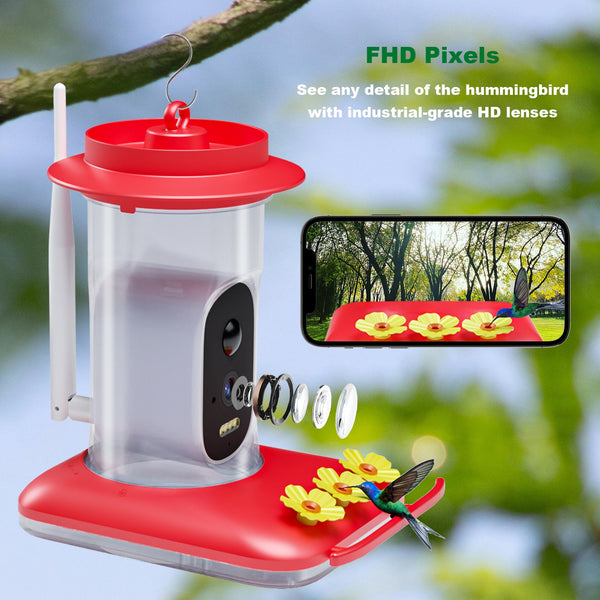 Comedero Inteligente para Colibríes con Cámara HD 5MP