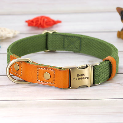 Collar de Cuero para Perro con Placa Antiextravío - Image 32