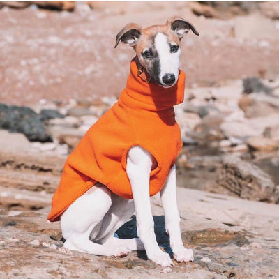 Suéter Polar Cuello Alto para Perros - Abrigo Suave y Cómodo - Image 5