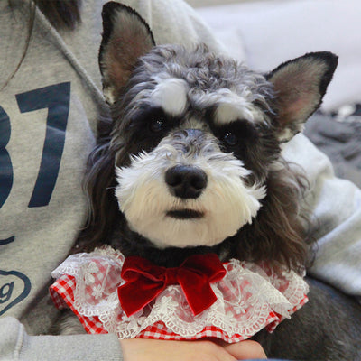 Joya Fotográfica Personalizadas Mascotas - Collar y Pulsera - Image 9