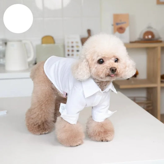 Camisa Formal Otoño Invierno para Mascotas - Diseño Gentleman Perros y Gatos