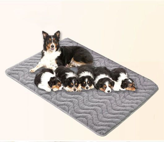Cama Ortopédica para Mascotas - Colchón Térmico Acolchado Premium - Image 14