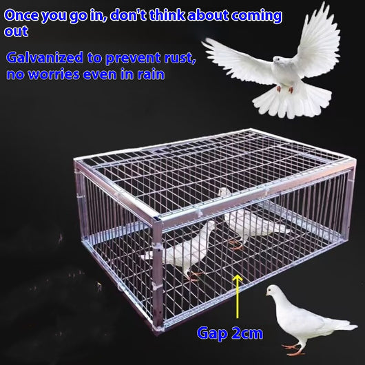 Black wire pigeon cage with a flat top and bottom, designed for one-way entry, shown on a gray surface. - Image 5