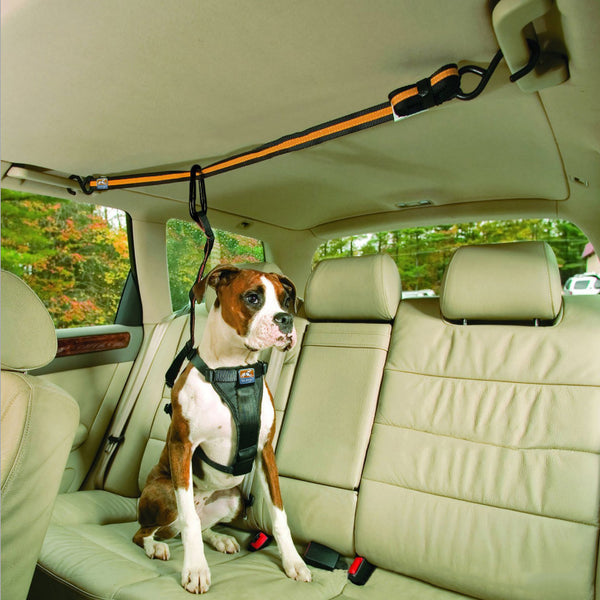 Orange and black pet safety belt installed in a car, securing a boxer dog in the back seat.