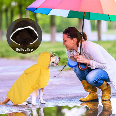 Impermeable para Perros Pequeños con Capucha Transparente - Image 14
