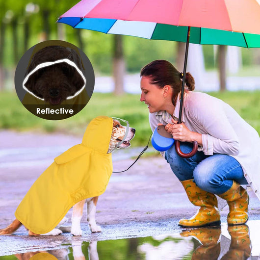 Impermeable para Perros Pequeños con Capucha Transparente - Image 14