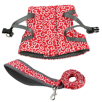 Cuerda de Paseo para Gatos - Image 17