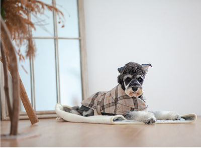 Abrigo Cortaviento para Perros Pequeños - Image 13