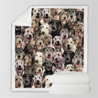 Manta Franela Estampada para Perros - Image 72