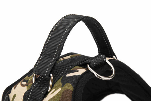 Arnés de Cuero Premium con Cuerda de Sujeción Manual para Golden Retriever - Resistencia a Prueba de Explosión - Image 11