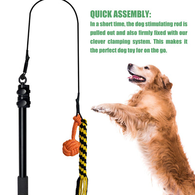 Telescopic dog teasing rod toy with black foam grip and multiple colorful rope attachments, including a carrying bag. - Image 4